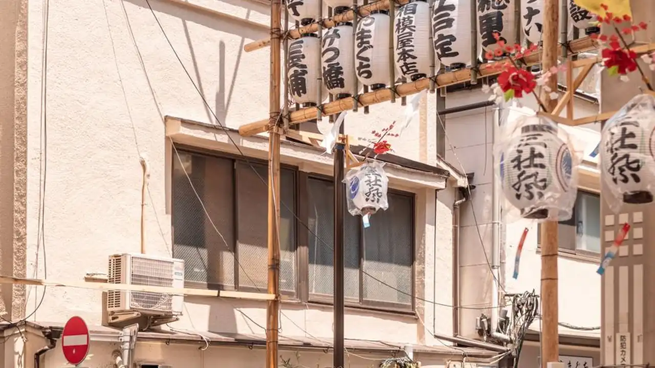 黄瓜视频18 免费观看优质视频内容的全新体验